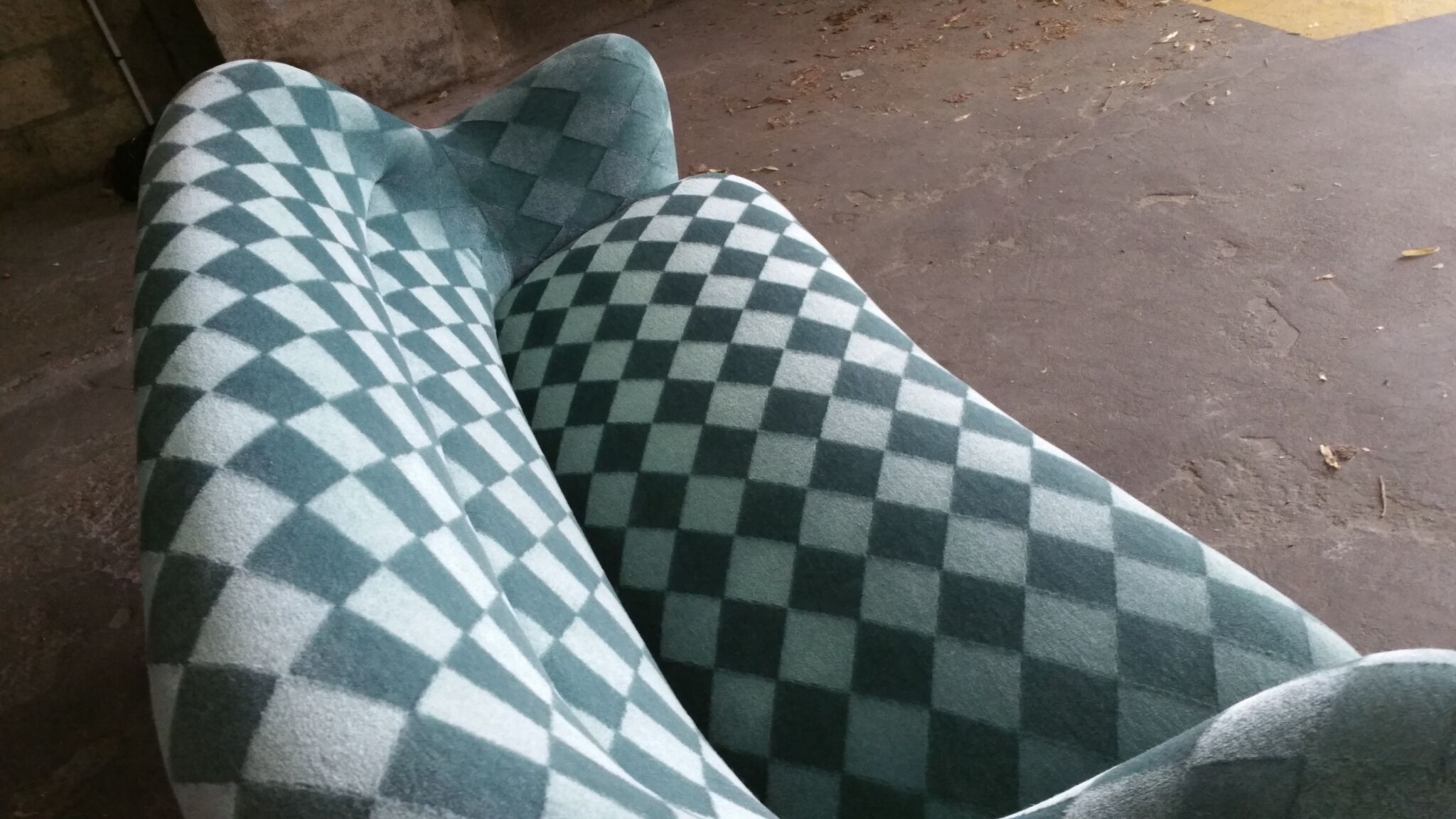 Organic year 50-60 club chairs pair