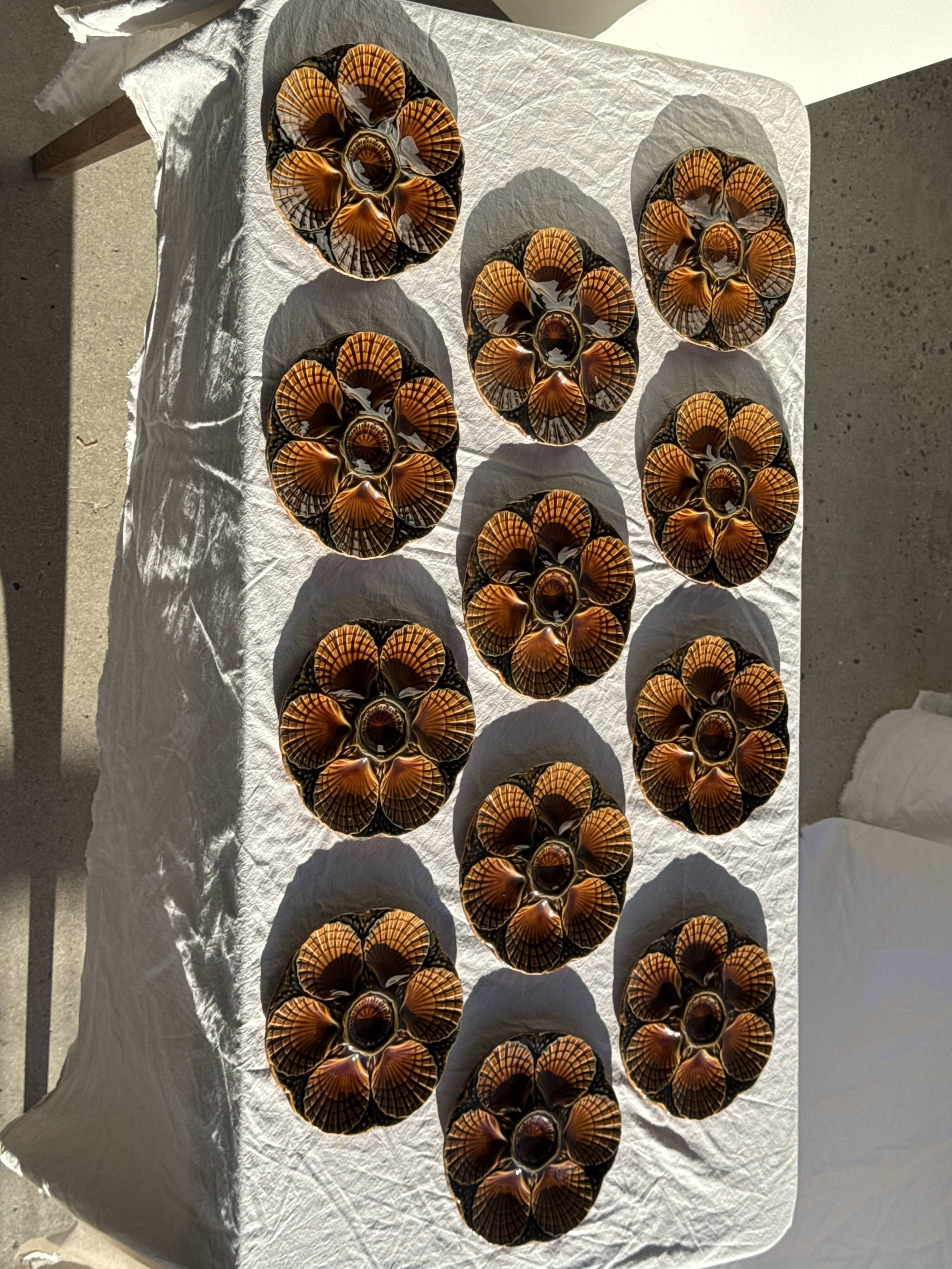 Set of 12 oyster or shell plates in glazed brown ceramic D
