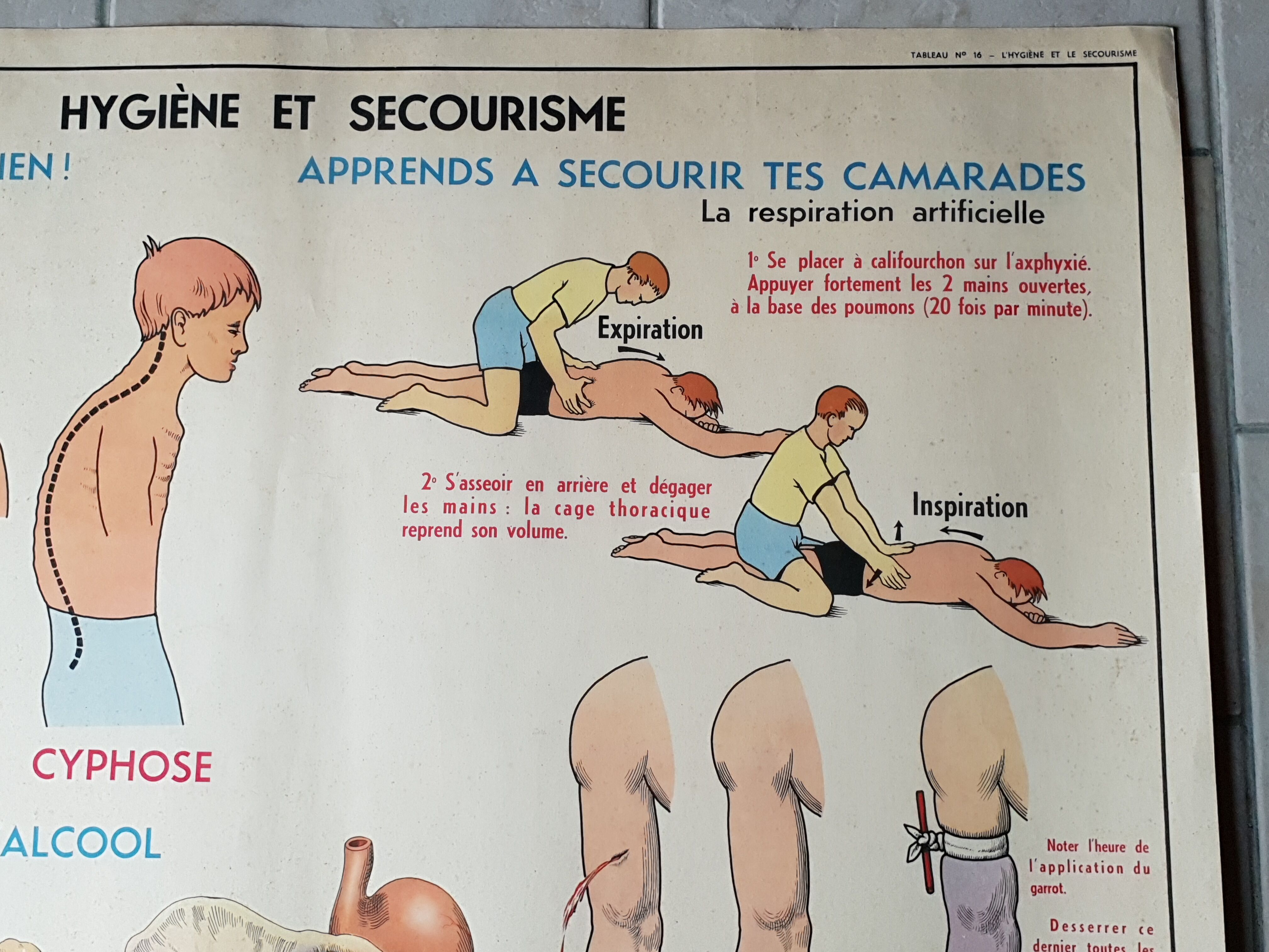 Poster school  excretion & hygiene first aid