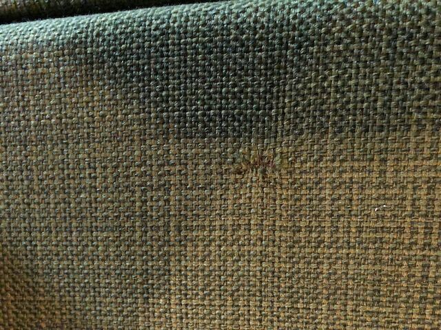 ARP 642 fireside chair by Guariche and Mortier edition Steiner 1955