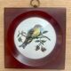Porcelain and bakelite frame