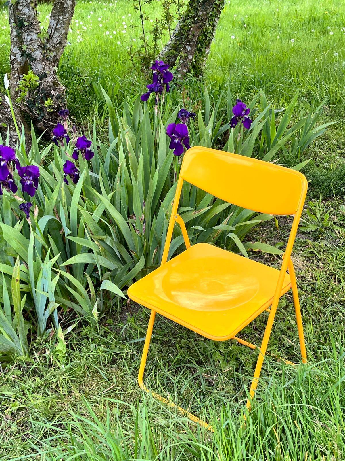 Ikea Ted folding chair