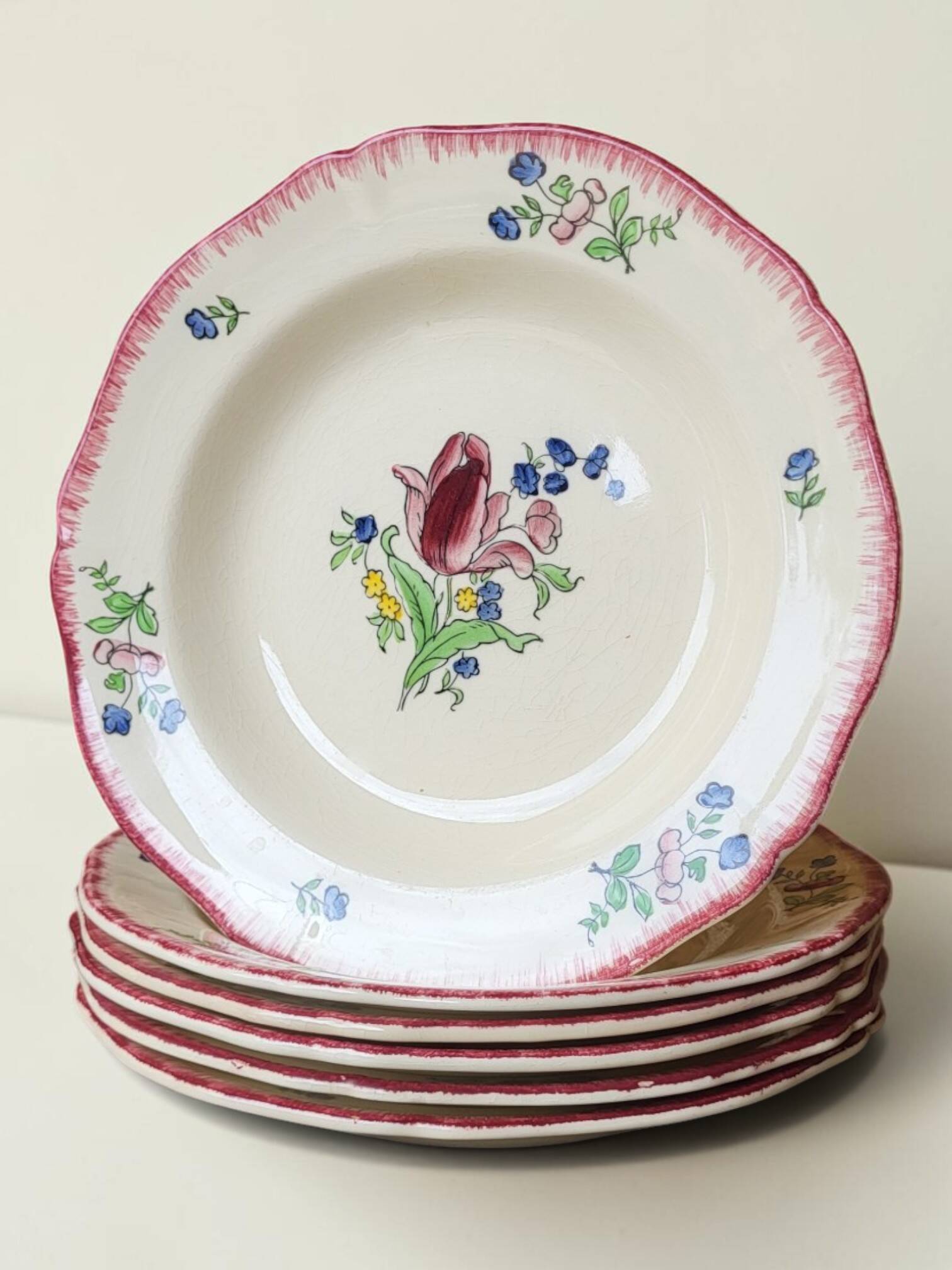 6 deep plates in Gien earthenware, Lorraine model