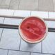 Red glazed stoneware vase