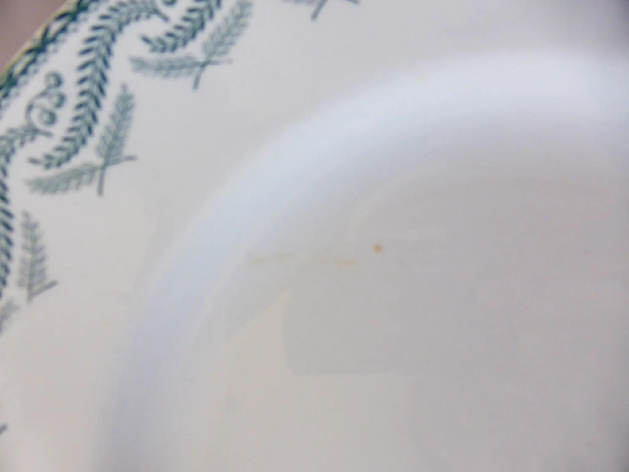 5 flat plates in ironstone from St Amand model Réjane 210726