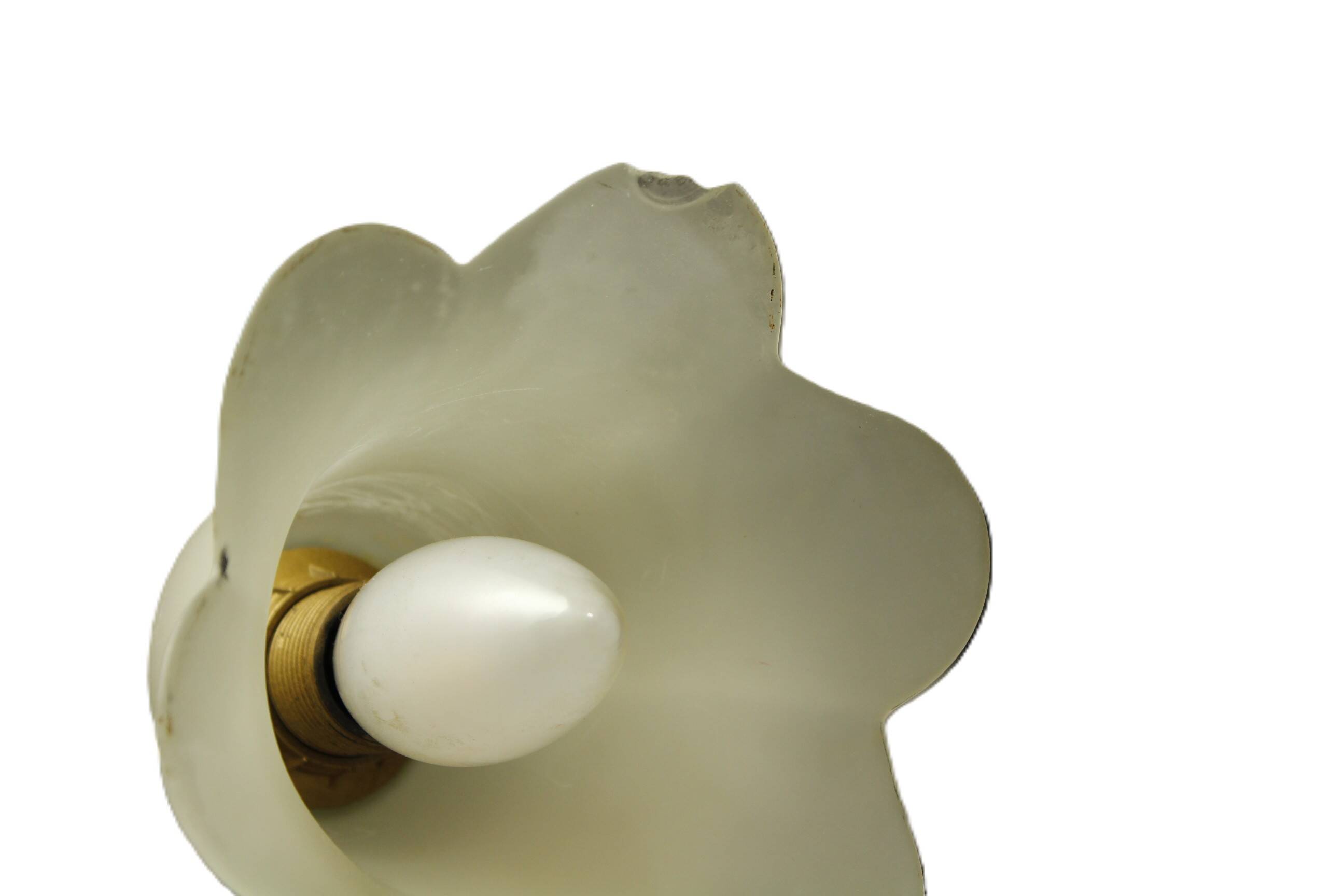 Vintage Floral Pendant Light from W.Müller-München 1980s