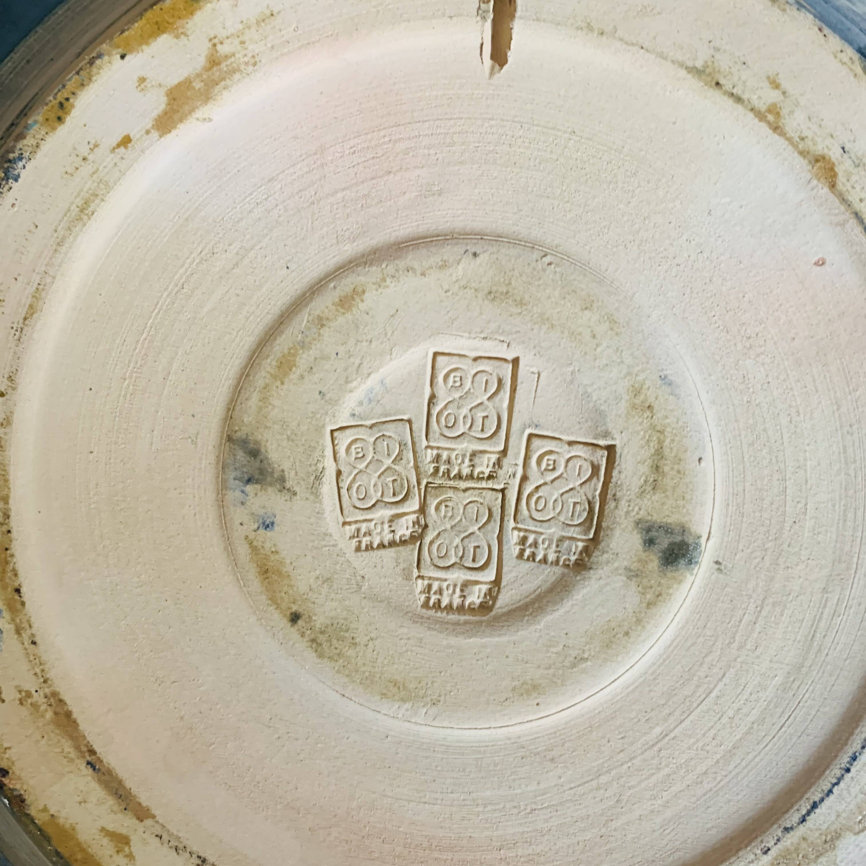 Large blue biot dish