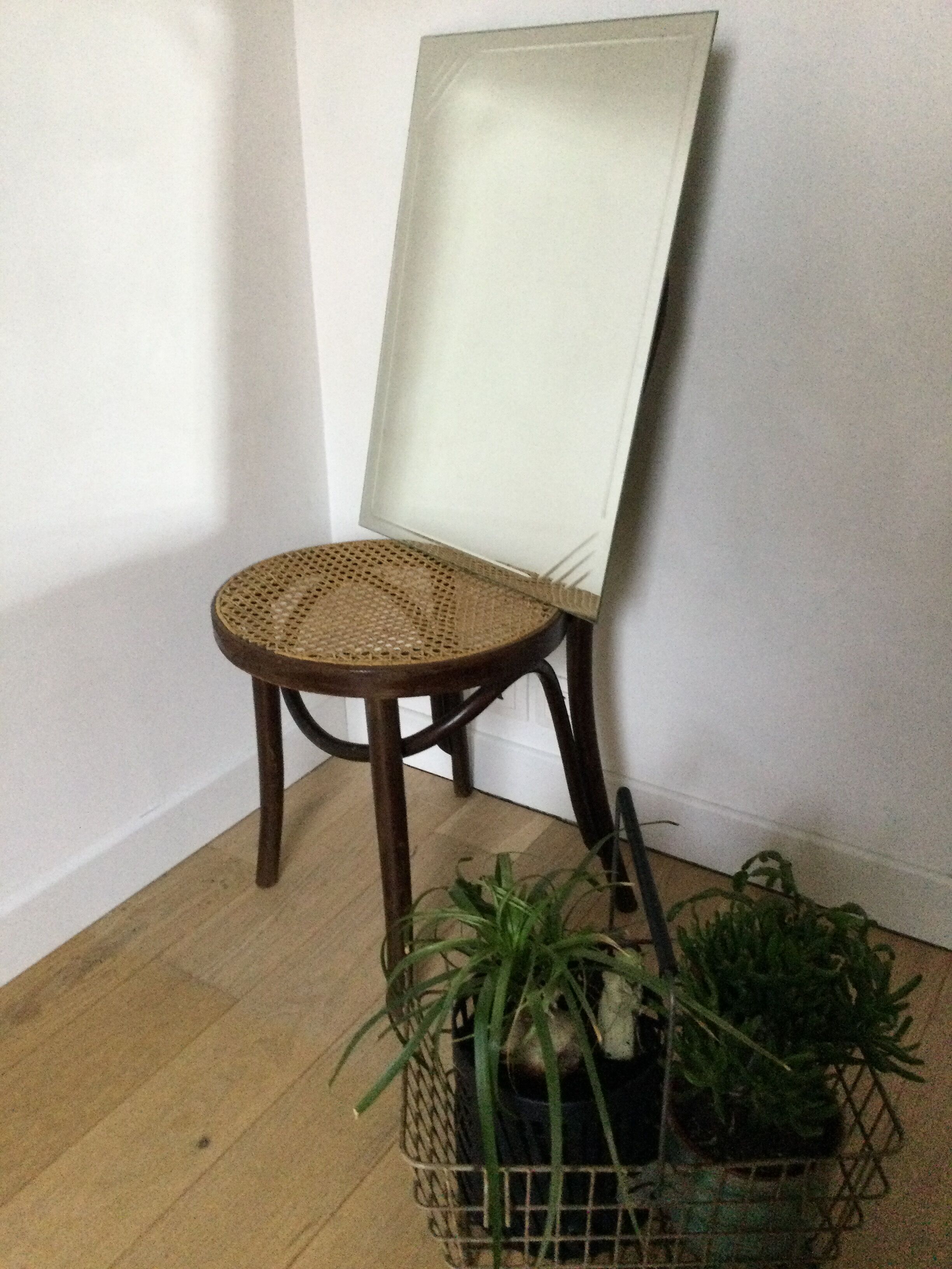 Bevelled vintage mirror  45x60cm