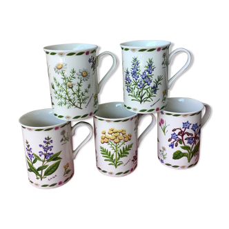 Mugs anglais décor botanique New Bone China