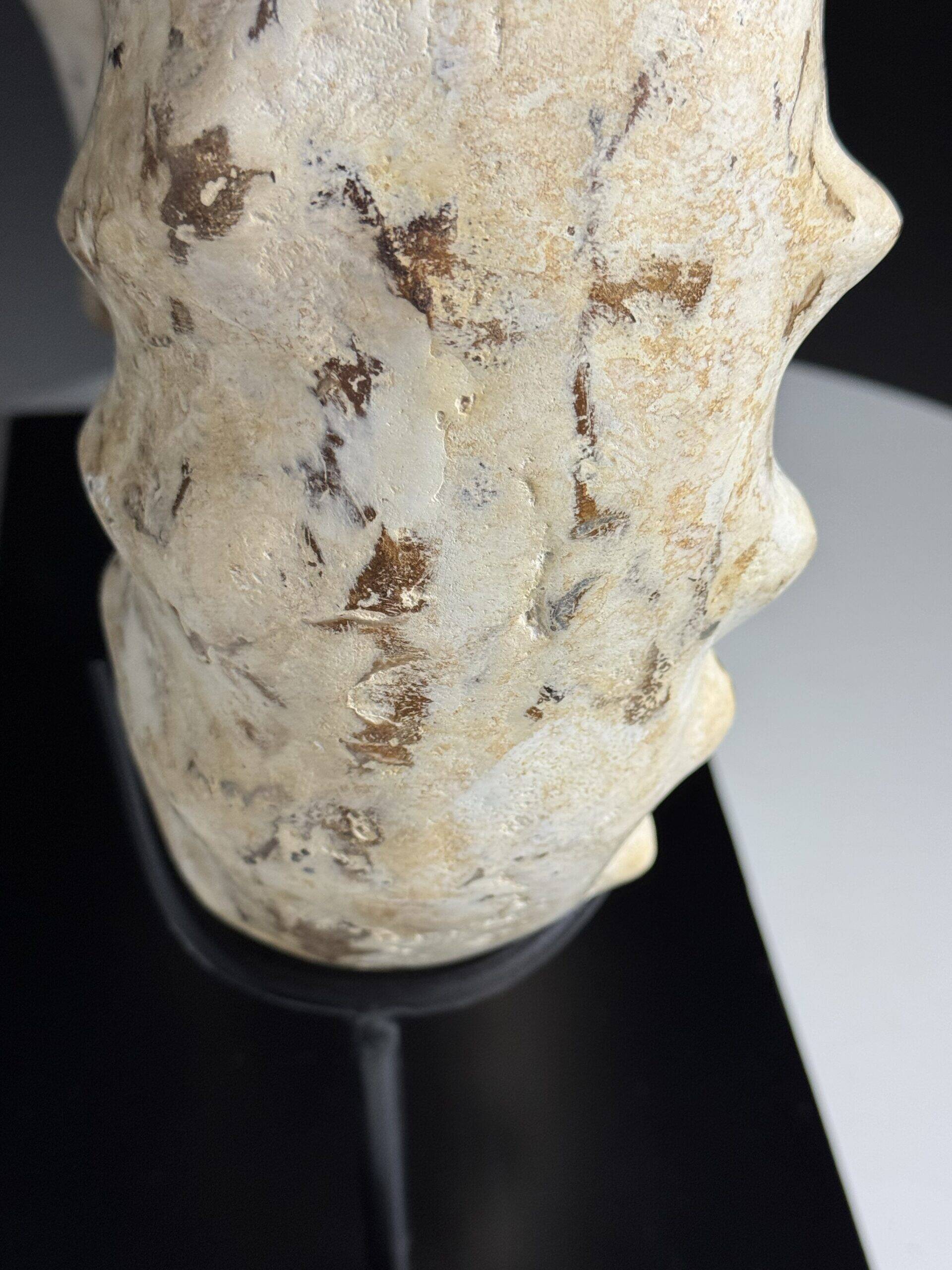 Fossile d'ammonite sur support