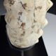 Fossile d'ammonite sur support