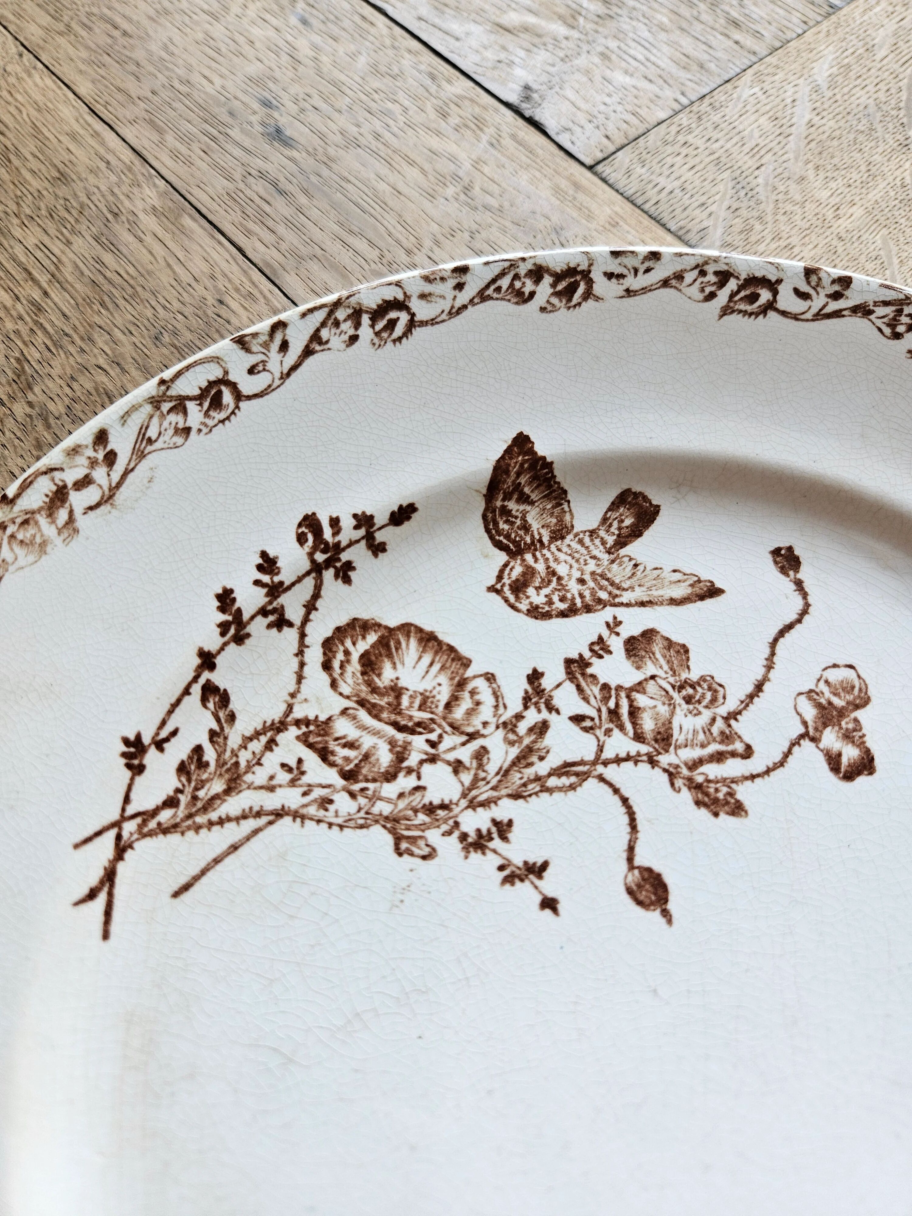 Flat plates, ironstone, poppies