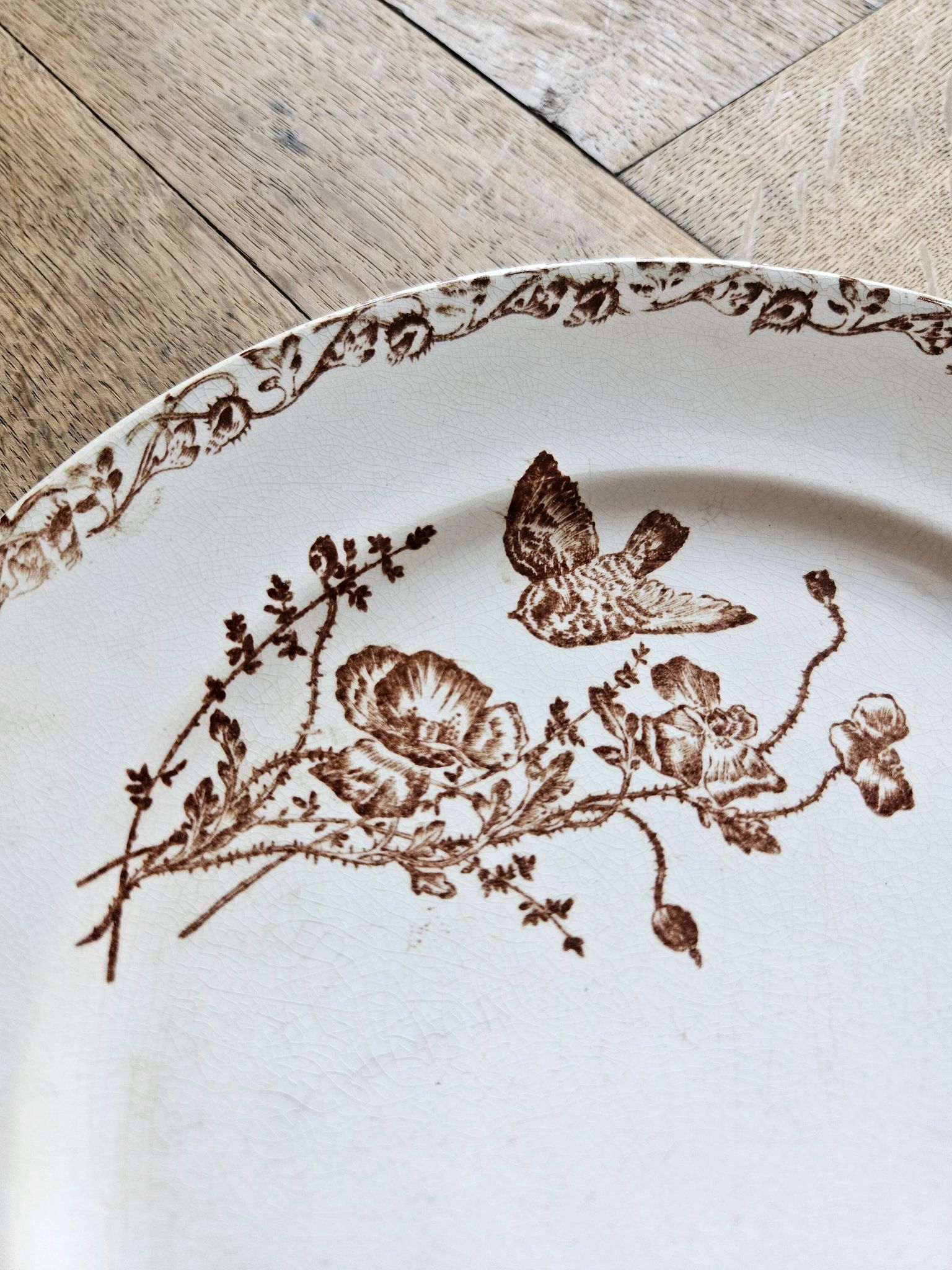 Flat plates, ironstone, poppies