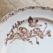 Flat plates, ironstone, poppies