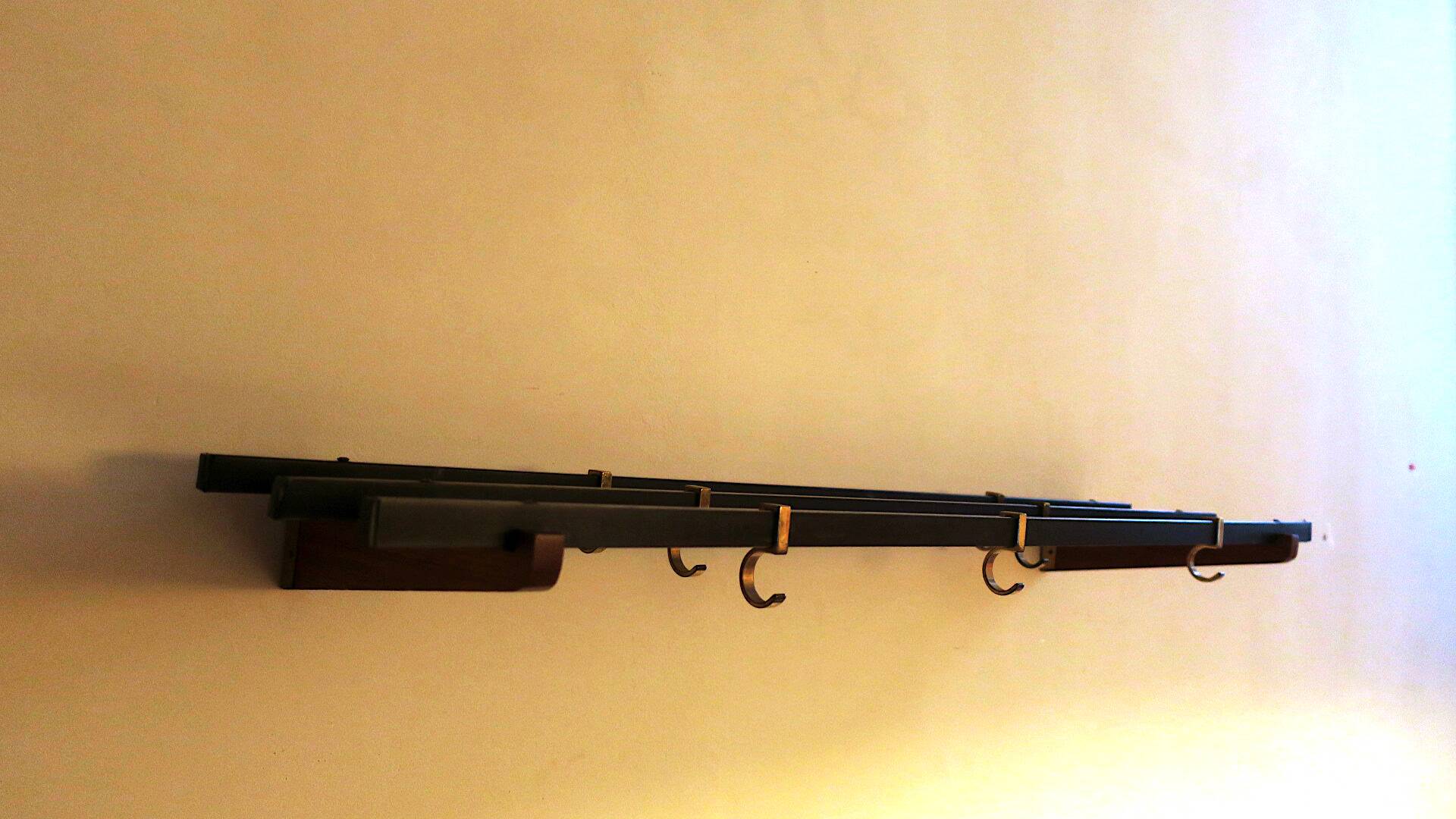 Teak and brass coat and hat rack with 7 sliding hooks, 1960s