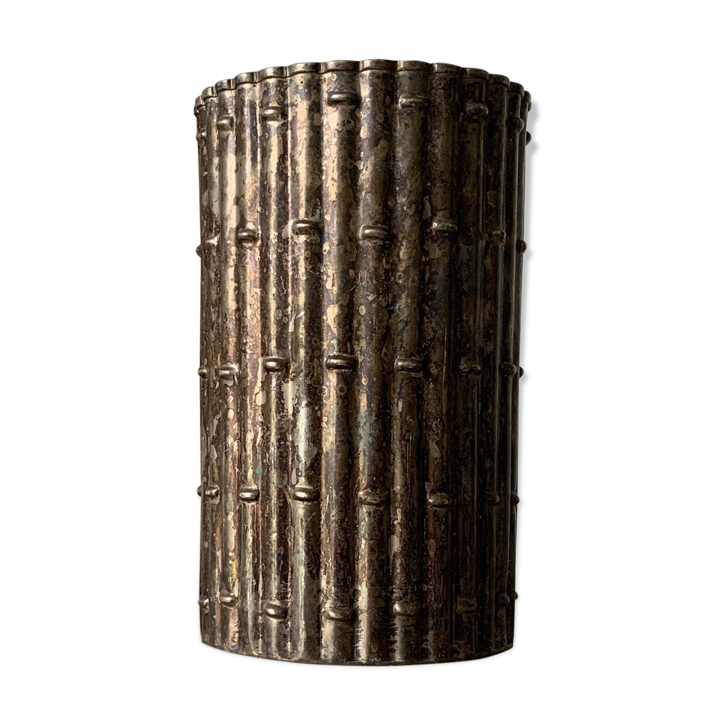 Silver vase bamboo pattern vegetale