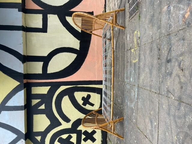 Rattan bed recycle bin