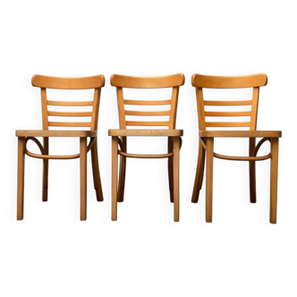 Mid-century German bentwood chairs by ZPM Radomsko for Mobilair, 1950s, set of 3.