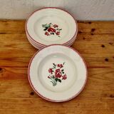 Set of 7 deep plates Digoin Sarreguemines Floral Bouquet