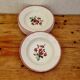 Set of 7 deep plates Digoin Sarreguemines Floral Bouquet