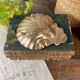 Scallop shell pocket in brass