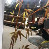 Exotic-patterned brasserie bistro mirror