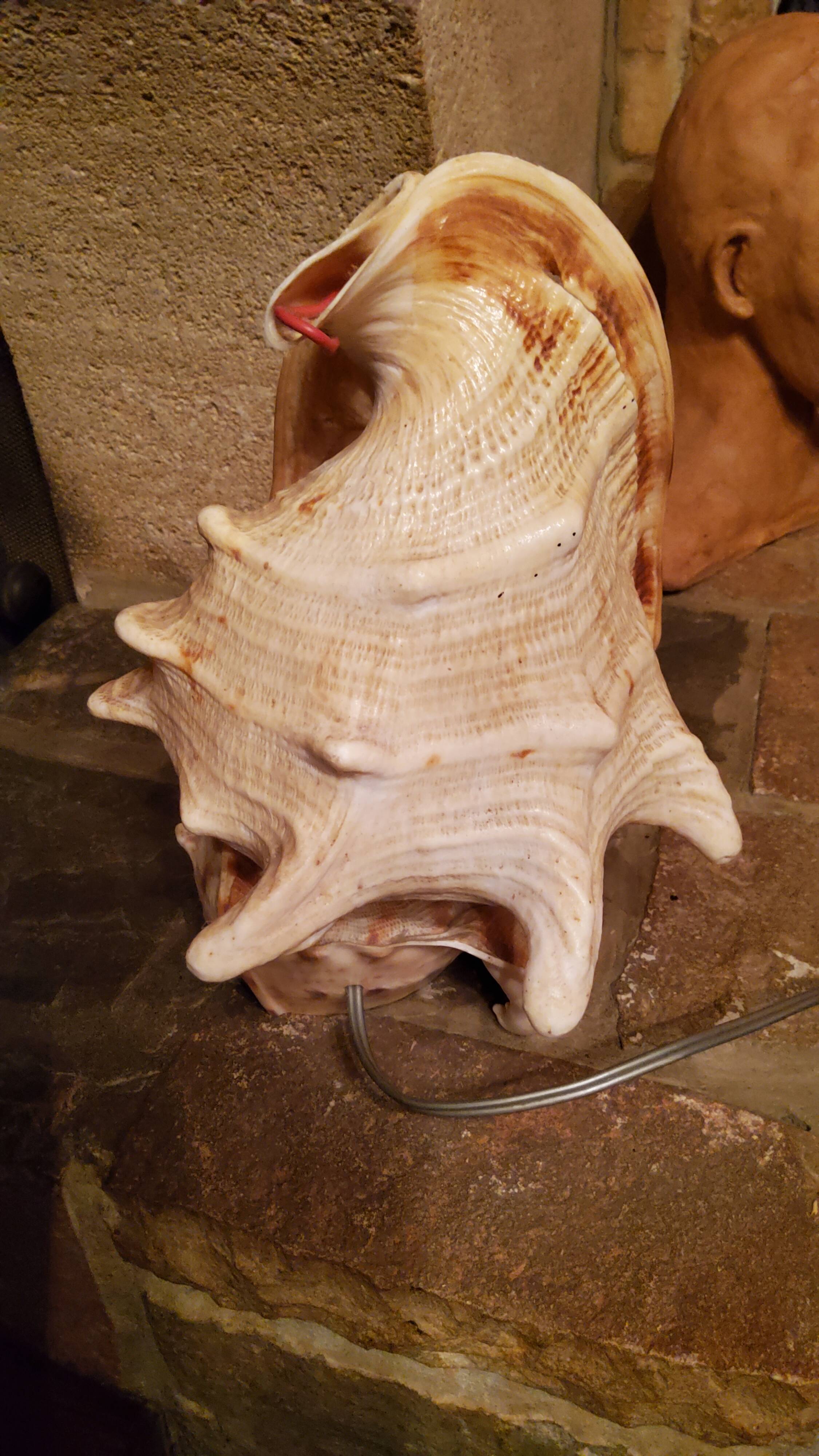 Shell lamp from the 50s