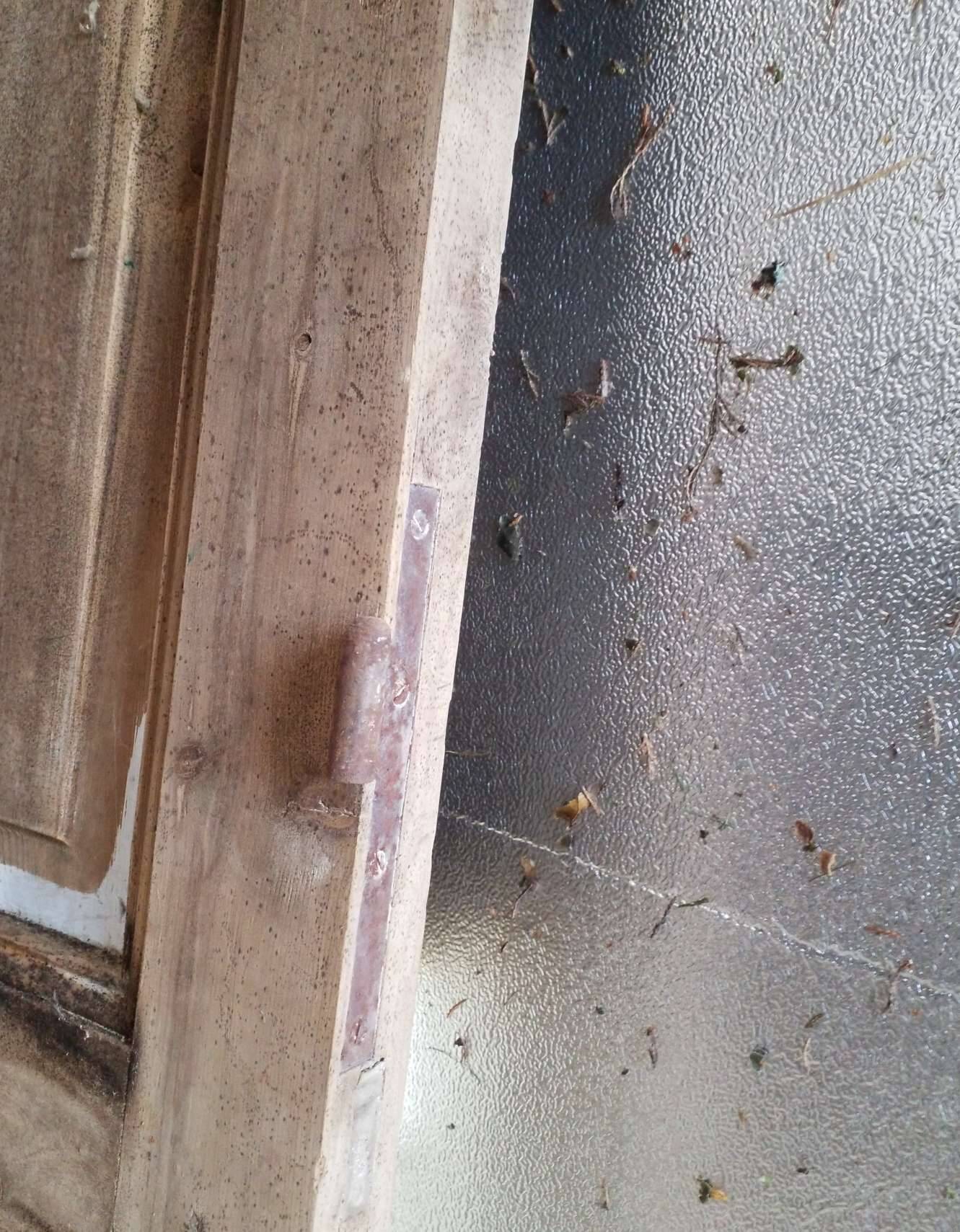 Pair of old doors