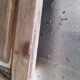 Pair of old doors