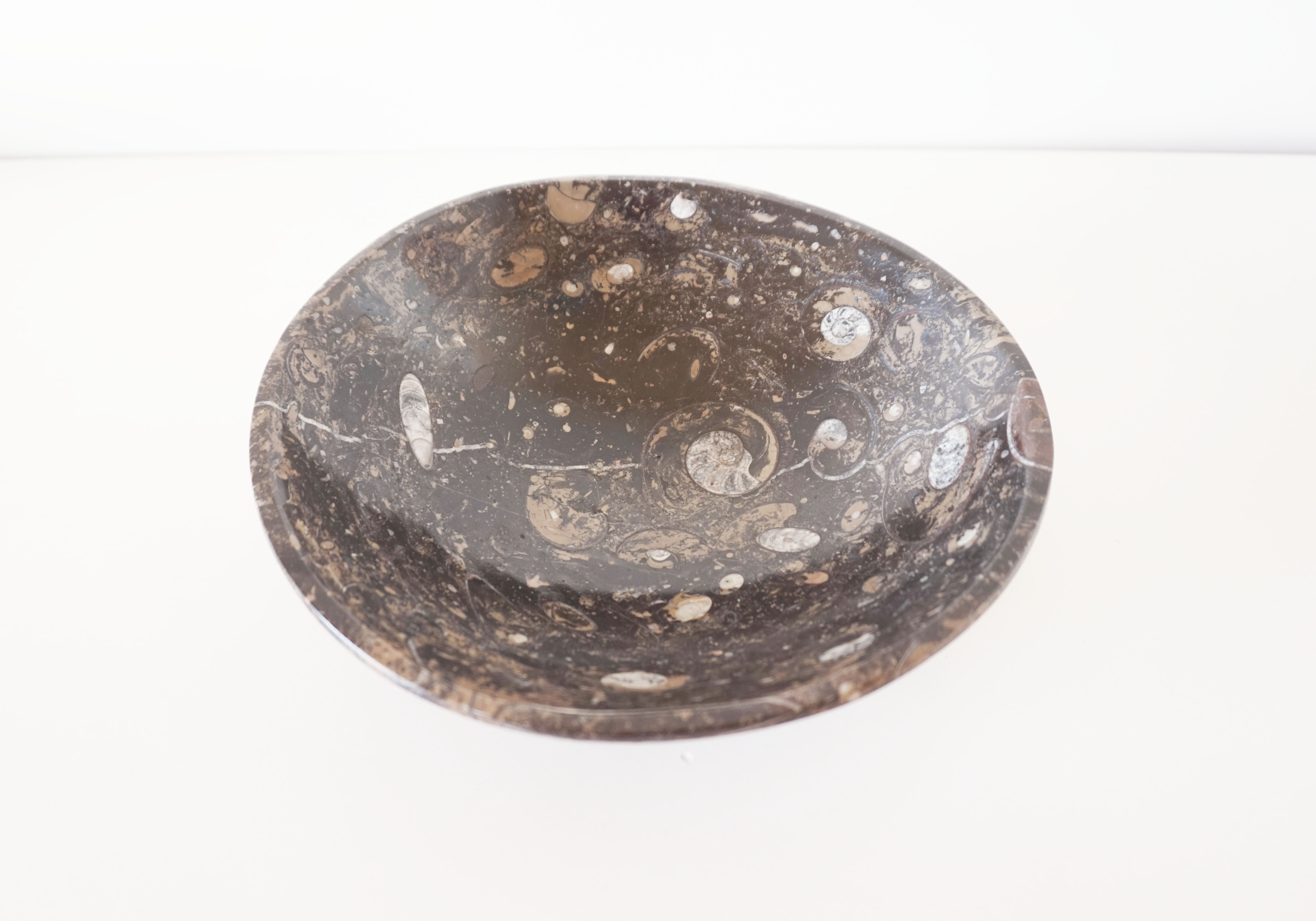 Empty pocket in fossilized black marble