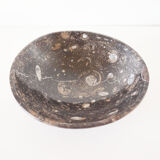 Empty pocket in fossilized black marble