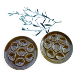 Oyster plates