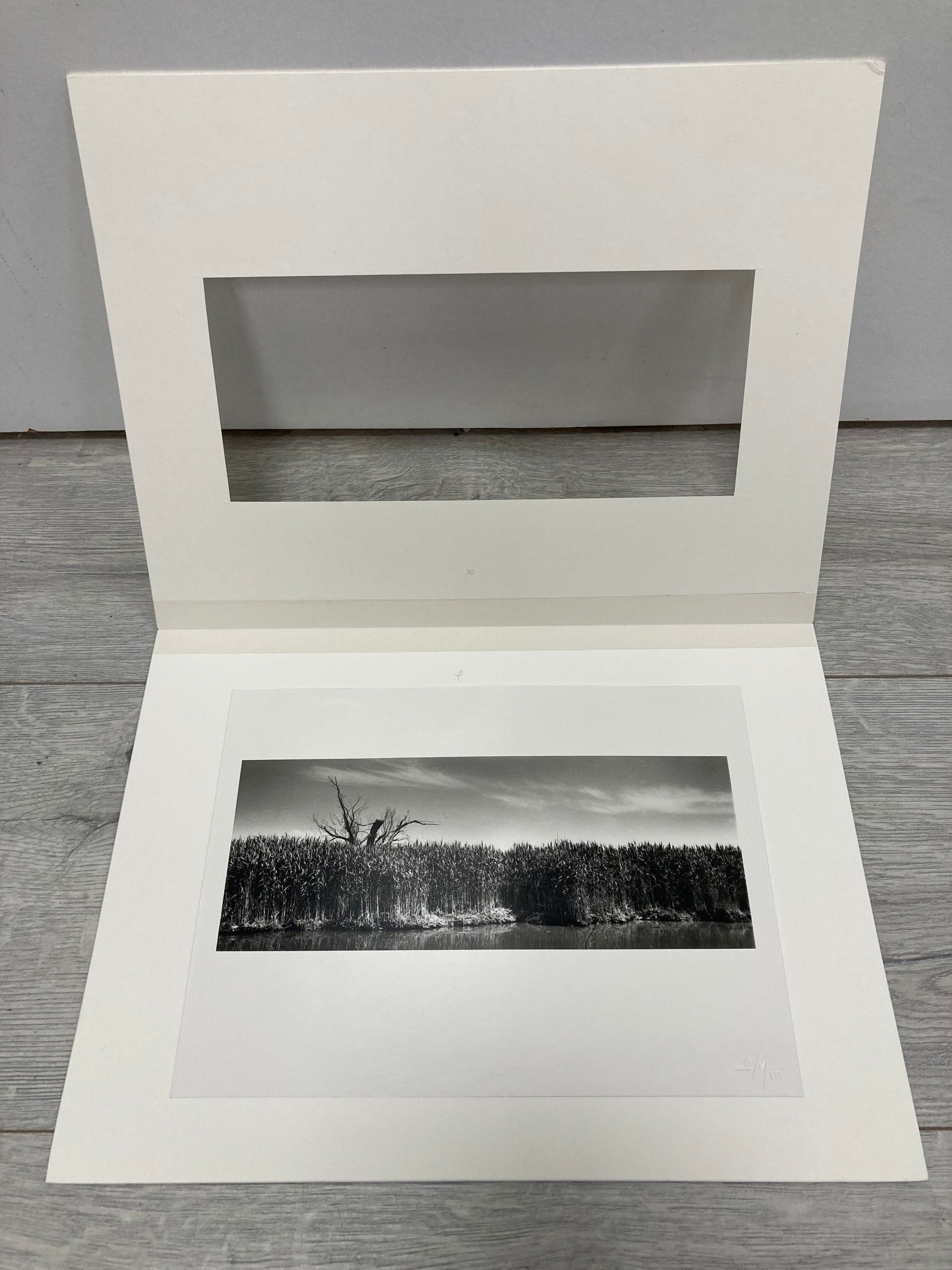 Film landscape photography