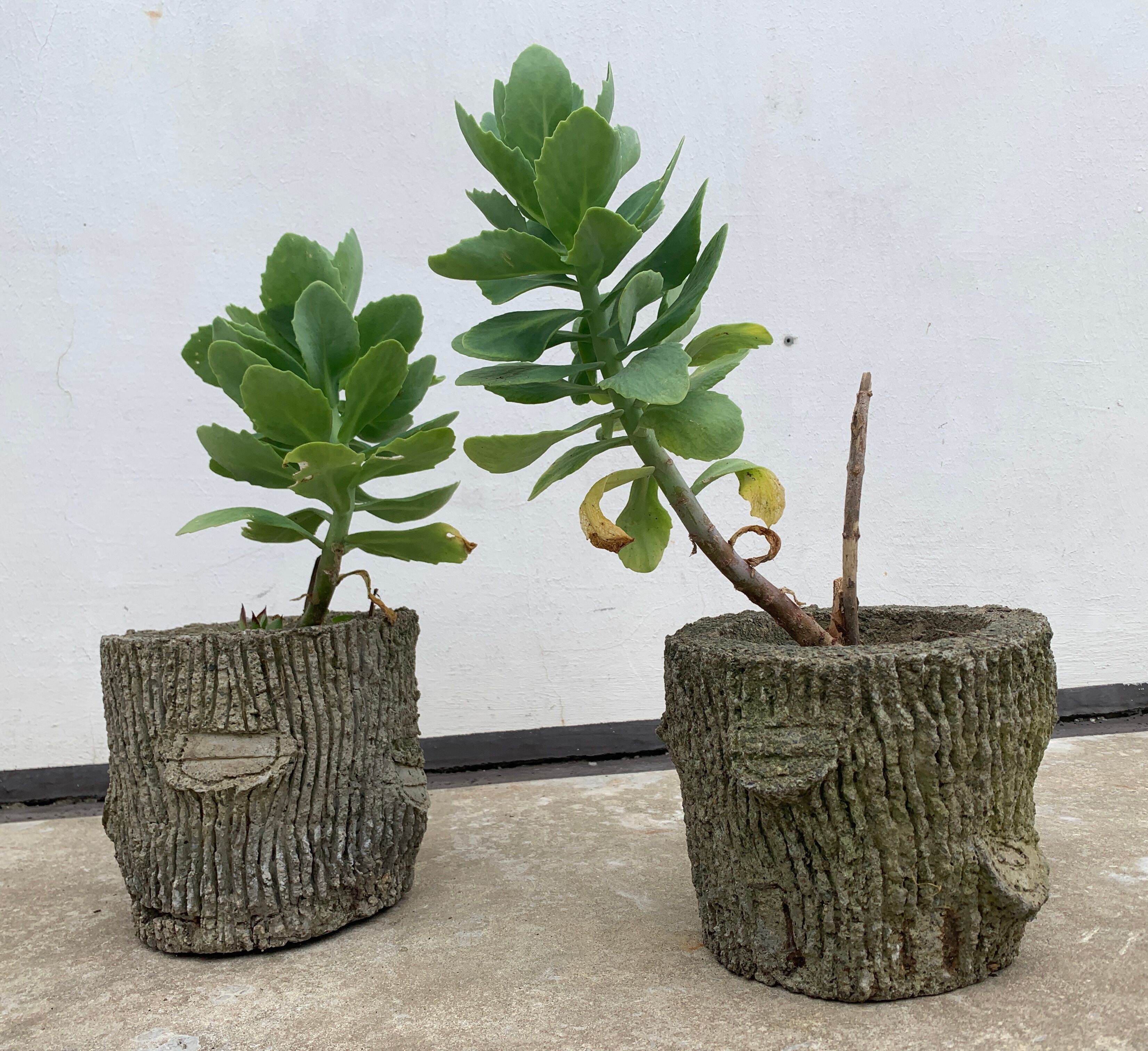 Two cement planters imitation tree trunks