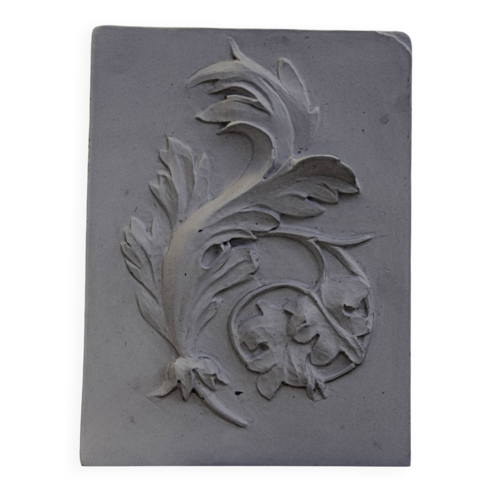 Bas-relief en plâtre d'une feuille d'acanthe