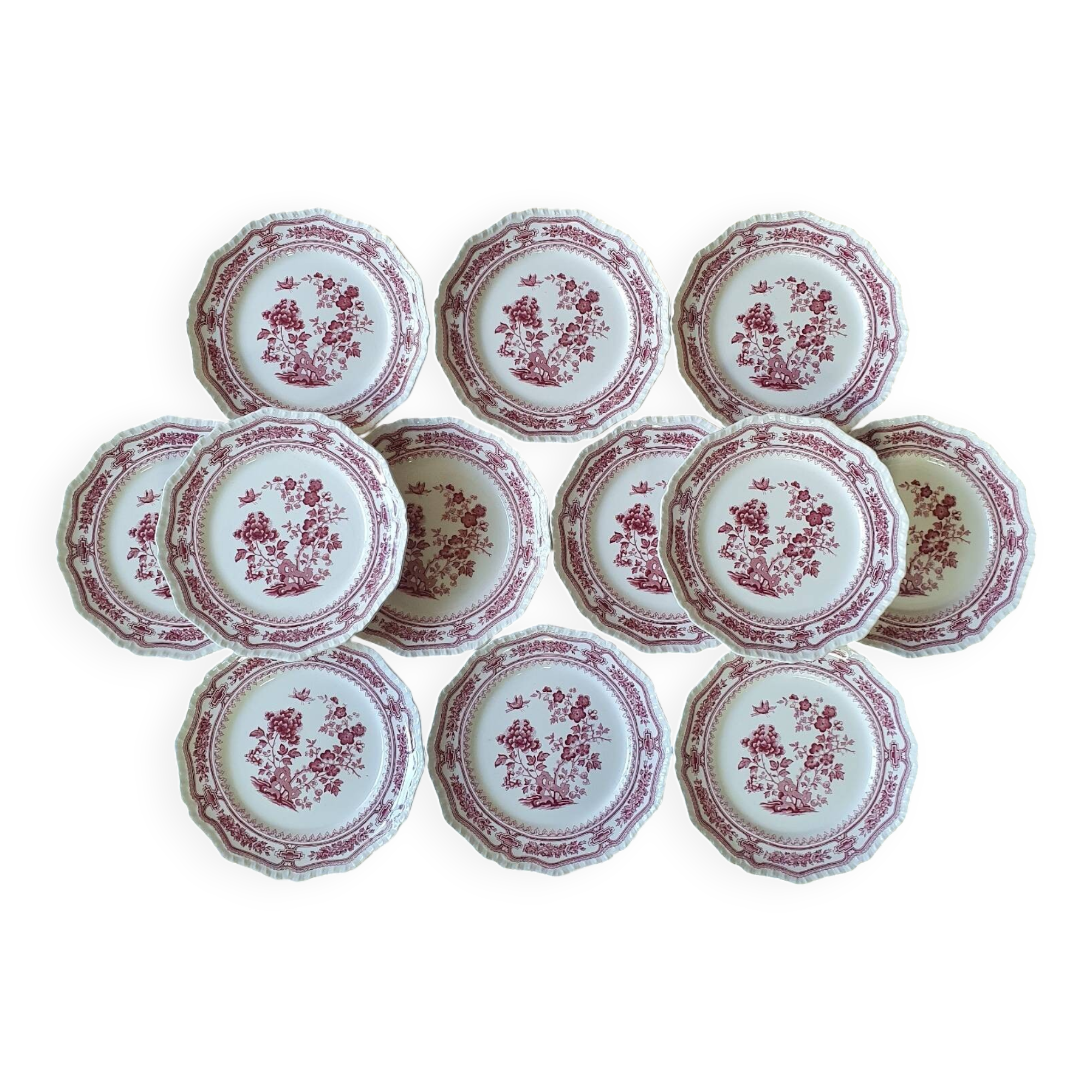 12 Mason's dinner plates