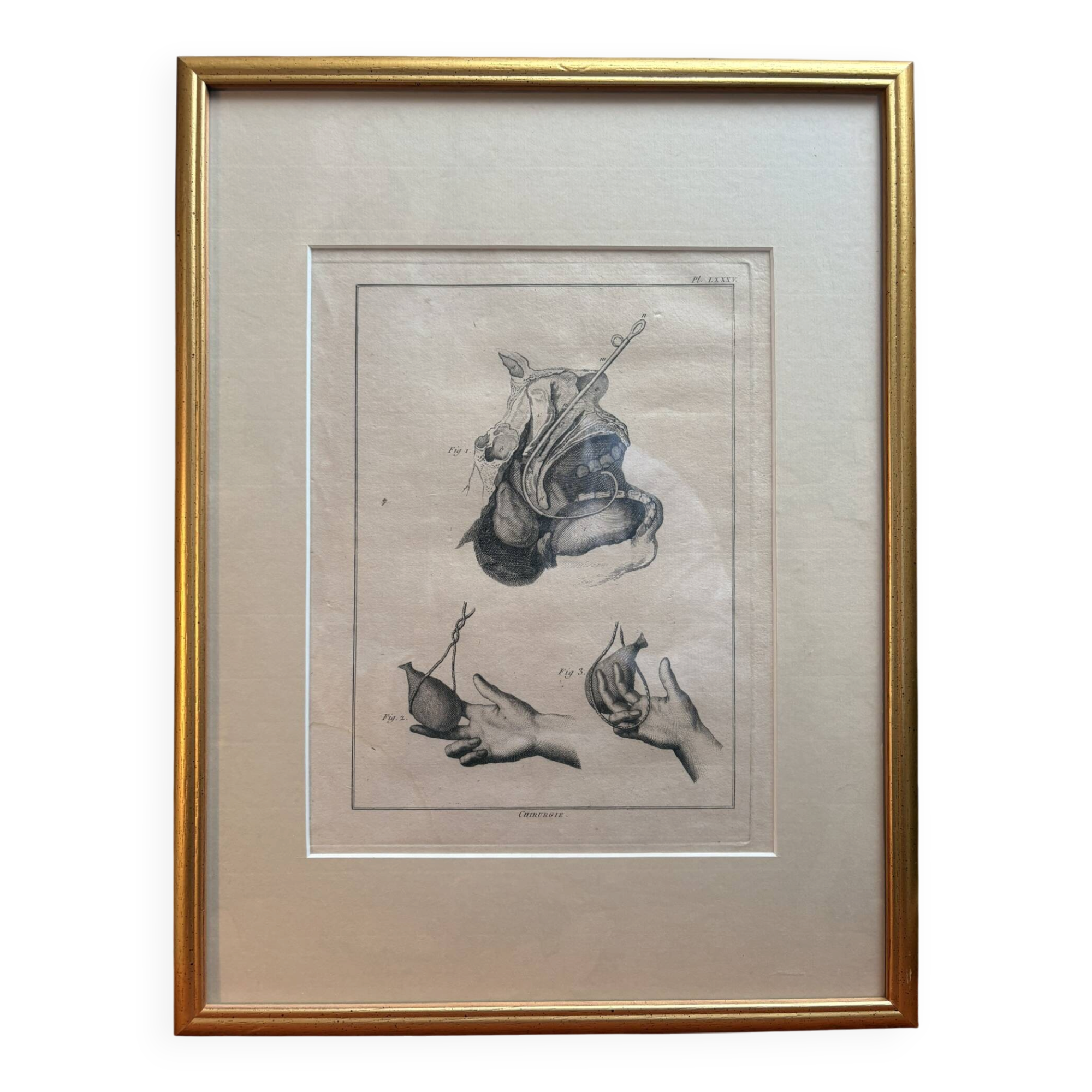 Framed Print Engraving Aphorisms Surgery Anatomy Herman Boerhaave