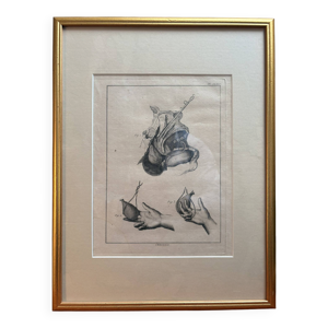 Estampe Gravure Encadré - herman