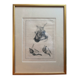 Framed Print Engraving Aphorisms Surgery Anatomy Herman Boerhaave