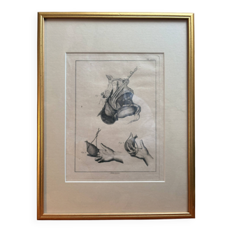 Framed Print Engraving Aphorisms Surgery Anatomy Herman Boerhaave