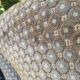 Paire de fauteuils crapaud
