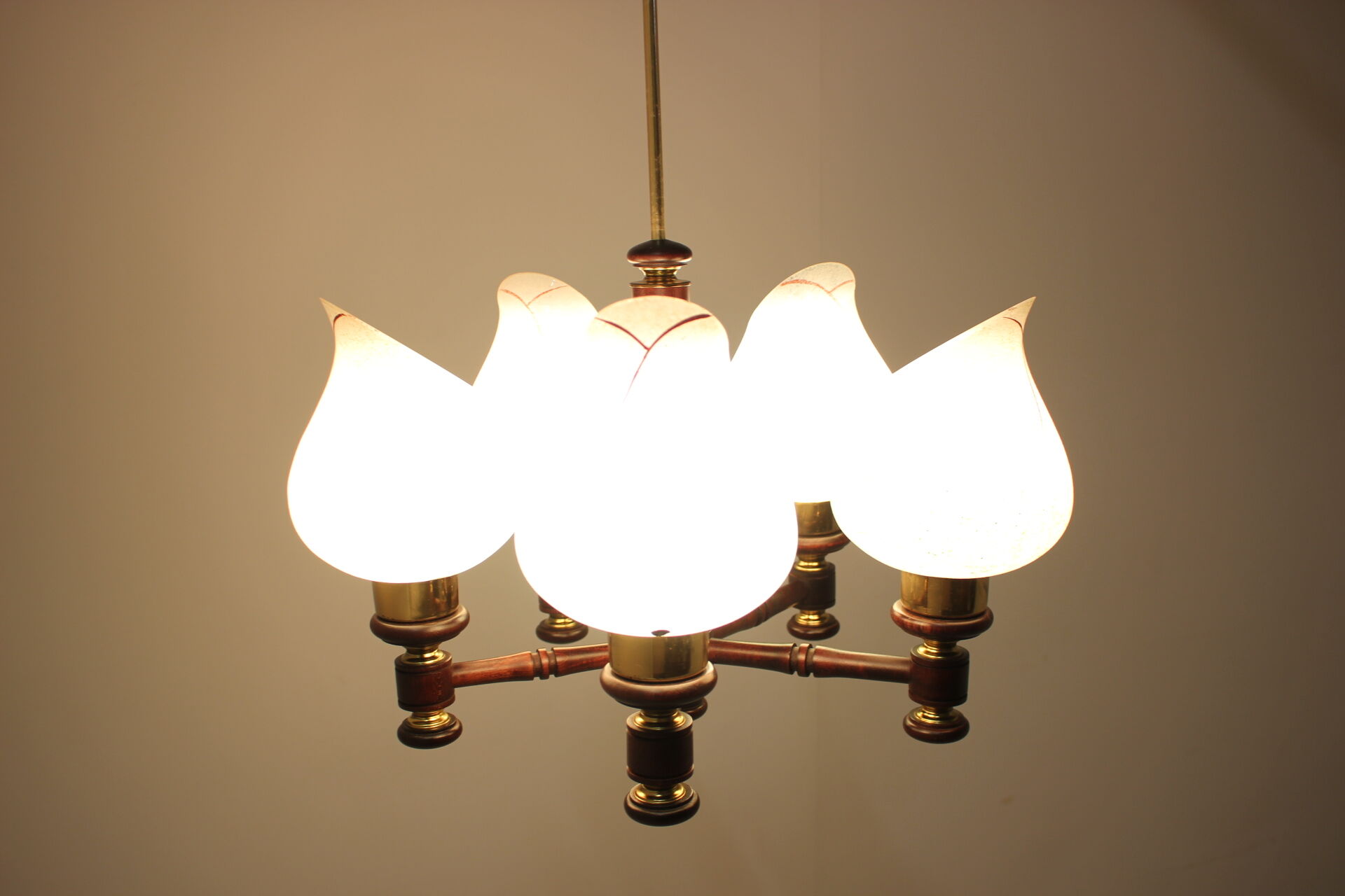 Mid-century Chandelier by  Pokrok Žilina,1970‘s.