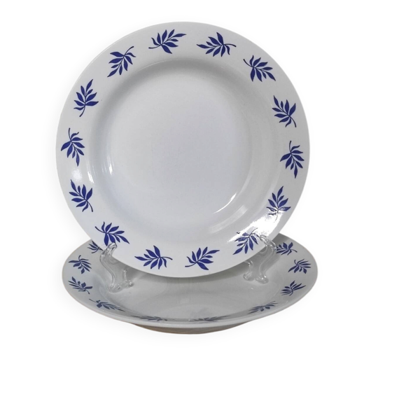 Assiettes creuses feuilles bleues