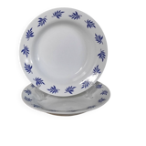 Blue leaf deep plates