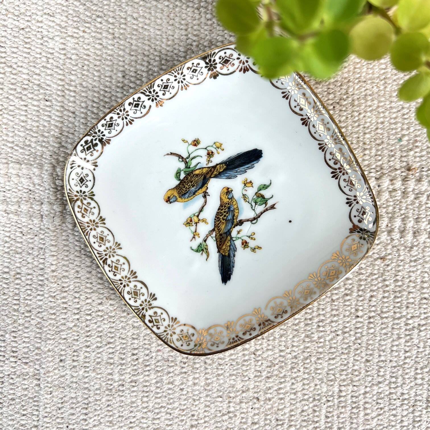 Empty pocket Limoges “duo of parakeets”