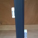 Parisian art nouveau wardrobe