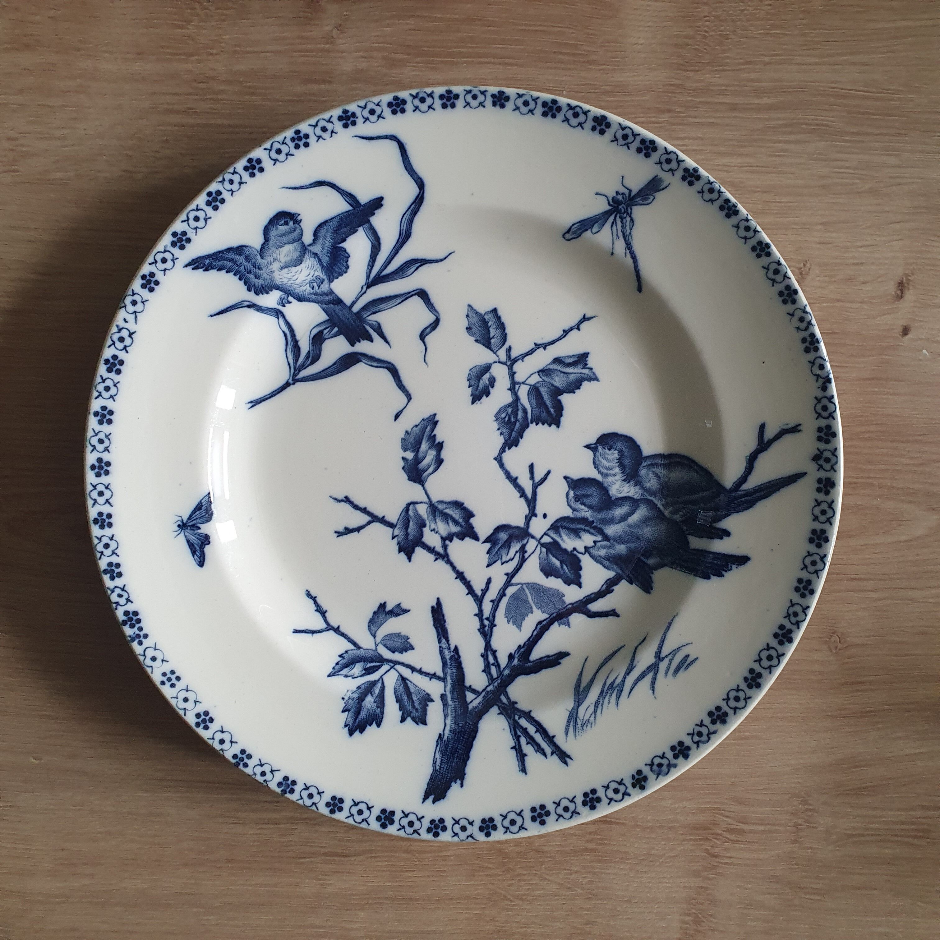 Duo d'assiettes Terre de fer