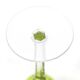 Armagnac wine glasses in green crystal by Baccarat, 1970s, set of 6.