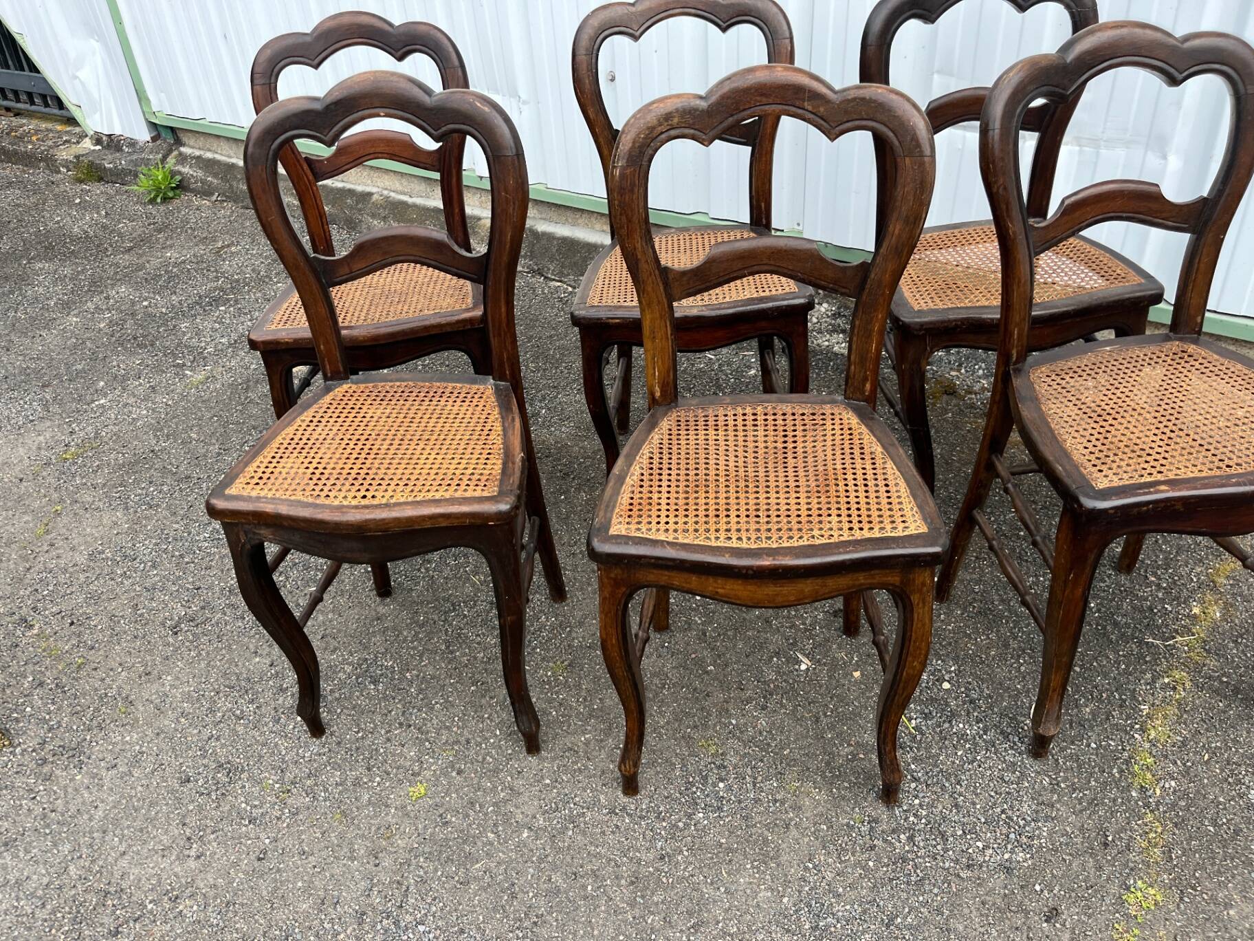 Série de 6 chaises à dossier trilobé de style Louis-Philippe