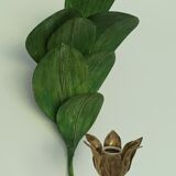 Vintage leaf wall lamp